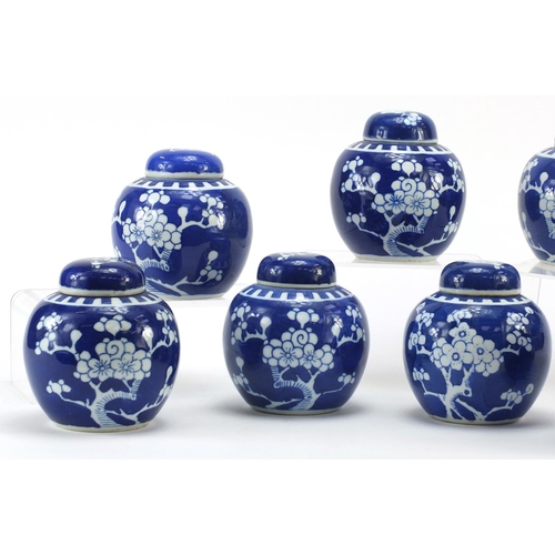 3786 - Chinese blue and white porcelain ginger jars hand painted with prunus flowers, the largest each 11.5... 