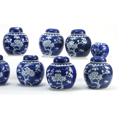 3786 - Chinese blue and white porcelain ginger jars hand painted with prunus flowers, the largest each 11.5... 