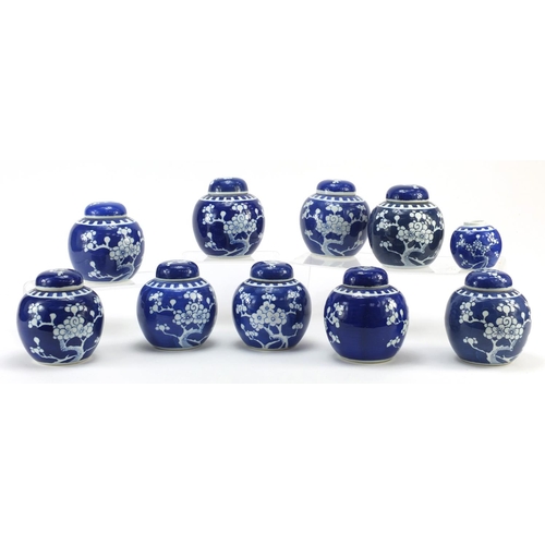 3786 - Chinese blue and white porcelain ginger jars hand painted with prunus flowers, the largest each 11.5... 