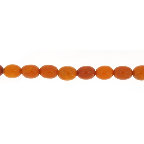 3142 - Butterscotch coloured amber bead necklace, 50cm in length, 34.0g