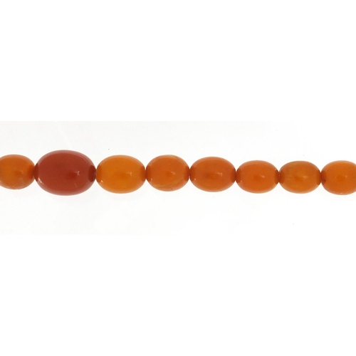 3142 - Butterscotch coloured amber bead necklace, 50cm in length, 34.0g