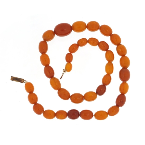 3142 - Butterscotch coloured amber bead necklace, 50cm in length, 34.0g