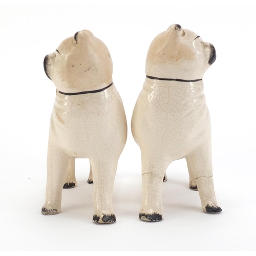 859 - Pair of Staffordshire pottery pug dogs, each 15cm in length