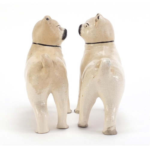 859 - Pair of Staffordshire pottery pug dogs, each 15cm in length