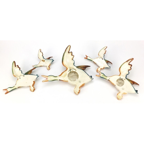 136 - Graduated set of five Beswick mallard wall plaques, the largest 30cm wide