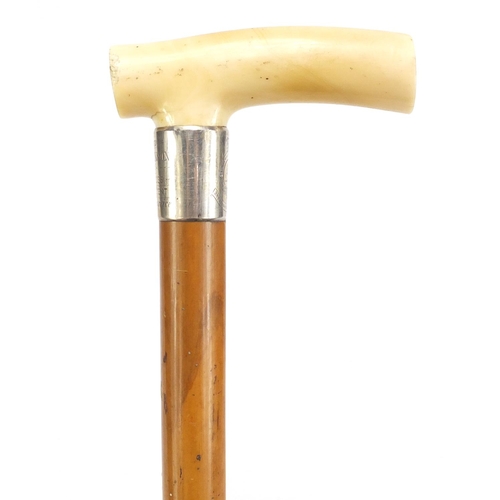 107 - Military interest malacca walking stick with ivory handle and silver collar, engraved with The Royal... 