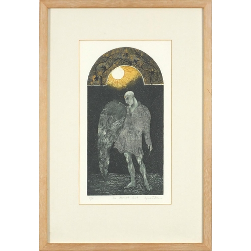 1325 - Lynne Gibson - The Starwort shirt, pencil signed artist's proof coloured etching/aquatint and collag... 