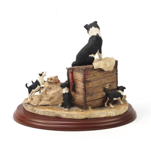 1284 - Border Fine Arts sculpture of dogs and a cockerel by Anne Wall with box, 21cm wide