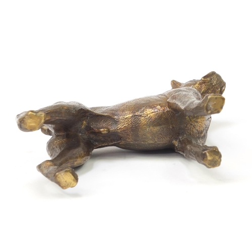 249 - Bronze model of a bull terrier, 18cm wide