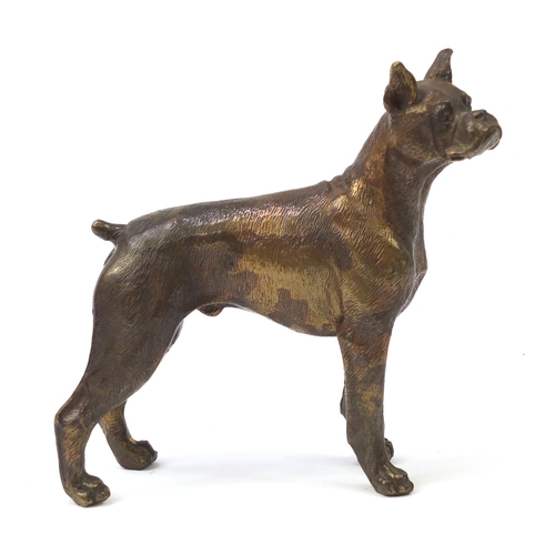 249 - Bronze model of a bull terrier, 18cm wide