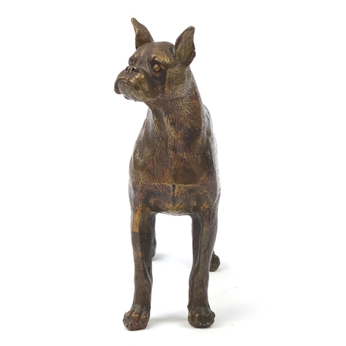 249 - Bronze model of a bull terrier, 18cm wide