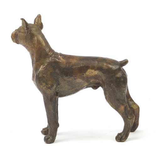 249 - Bronze model of a bull terrier, 18cm wide