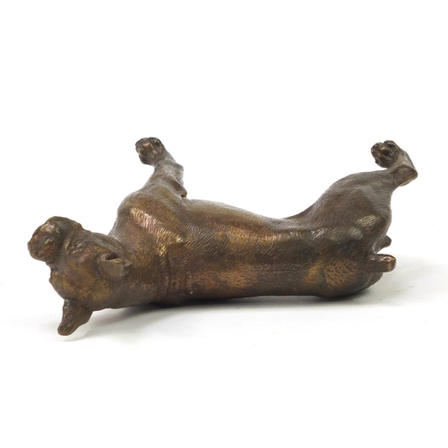 249 - Bronze model of a bull terrier, 18cm wide