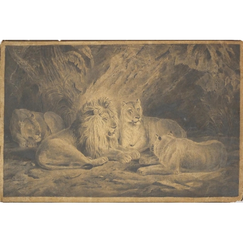 731 - PH Staines  1873 -Well detailed pencil drawing- Pride of Lions, 56cm x 35cm