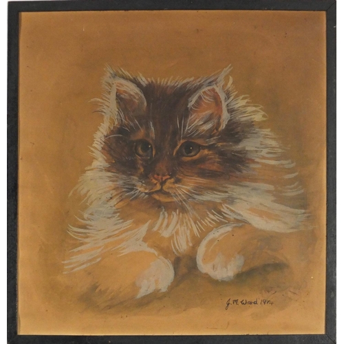 927 - JM Ward 1914 - Watercolour study of a young kitten, 33cm x 35.5cm