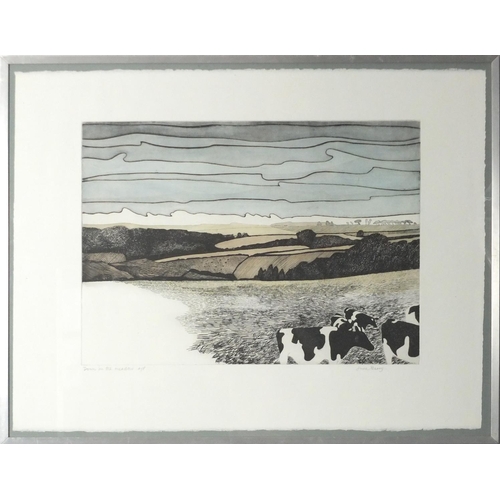 1019 - June Berry - Down the meadow, pencil signed artist proof etching in colour, framed and glazed, 75cm ... 