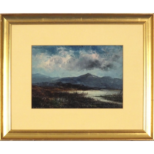 823 - Samuel John Barnes - Moonlit marshlands, oil, mounted, framed and glazed, 28.5cm x 20cm