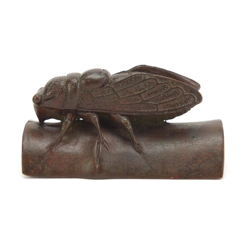 501 - Japanese patinated bronze fly with scorpion and snail to the underside, 7cm in length