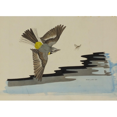 899 - Michael J Loates 1979 - Birds including eagles head, seagull in flight etc, five watercolours, unfra... 