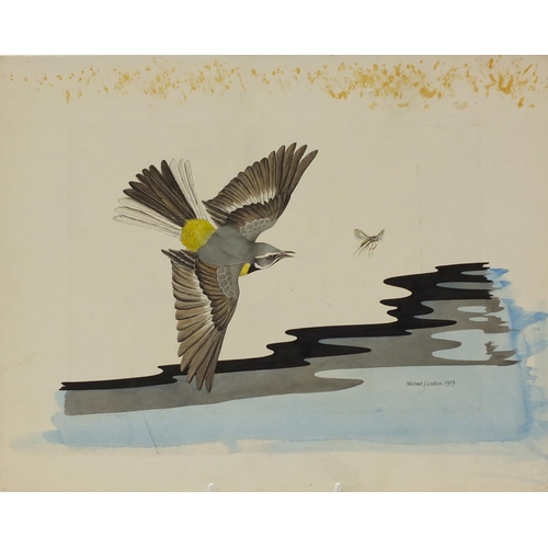 899 - Michael J Loates 1979 - Birds including eagles head, seagull in flight etc, five watercolours, unfra... 