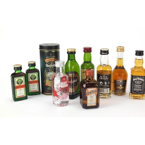 866 - Alcohol miniatures including whiskey, Jagermeister and cognac