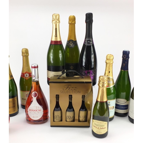 218 - Nineteen bottles of Champagne, Rosé and sparkling wine including F Dulac, Mondelli Codorniu Mateus a... 