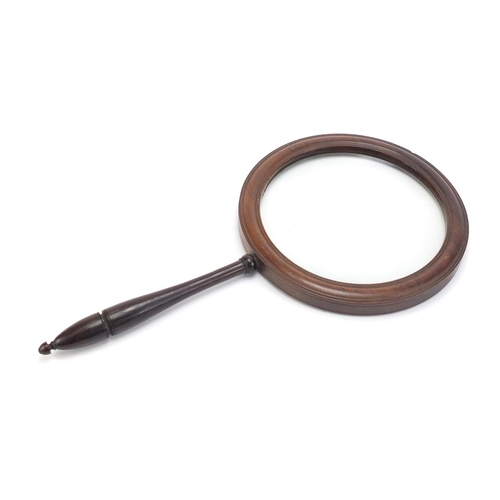 334 - Large Victorian rosewood magnifying glass, 46cm in length