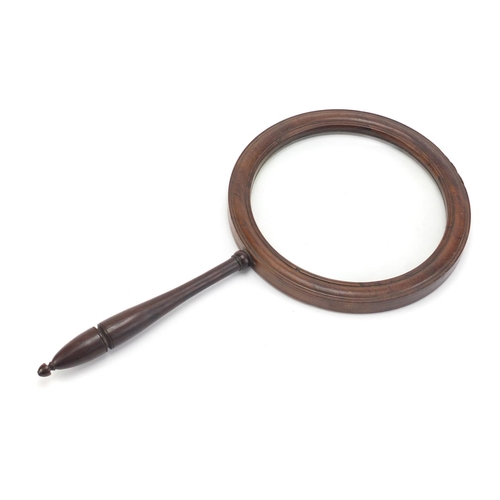334 - Large Victorian rosewood magnifying glass, 46cm in length