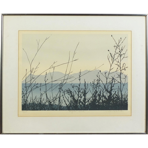 1240 - Veronica Charlesworth - Landscape, pencil signed screen print, limited edition 36/250, mounted, fram... 