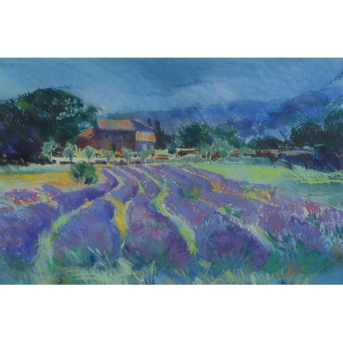 924 - Polly Raynes - The heat of the day, French lavender, watercolour and pastel, label verso, mounted, f... 