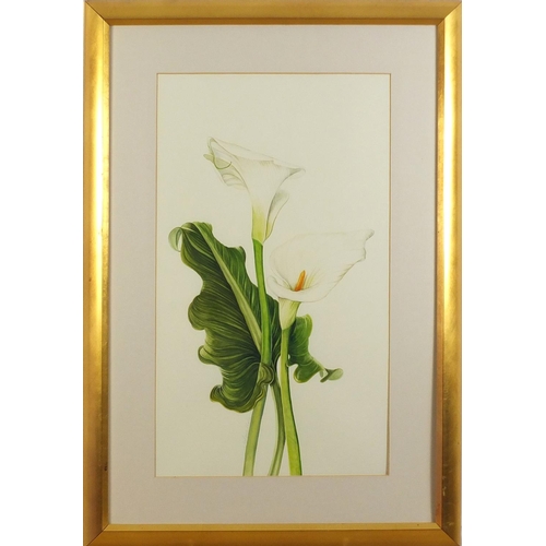 441 - Anne Hale - Still life flower, watercolour, mounted, framed and glazed, 60.5cm x 35.5cm