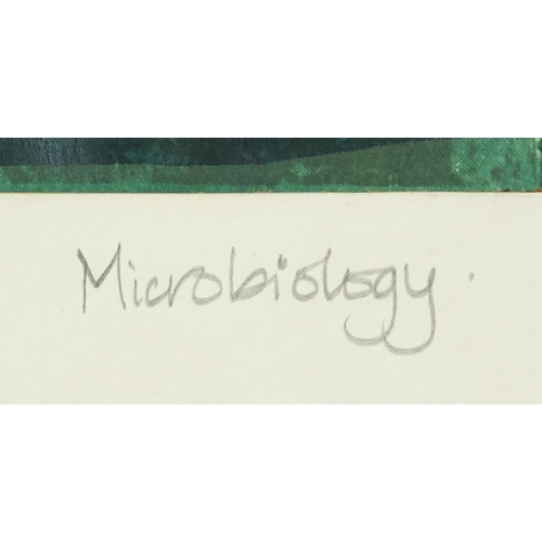 1429 - Pamela Higgs - Microbiology, pencil signed print, mounted and framed, 59cm x 40.5cm