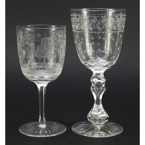 558 - Six 19th century antique wine glasses including one finely engraved with exotic birds and trees and ... 