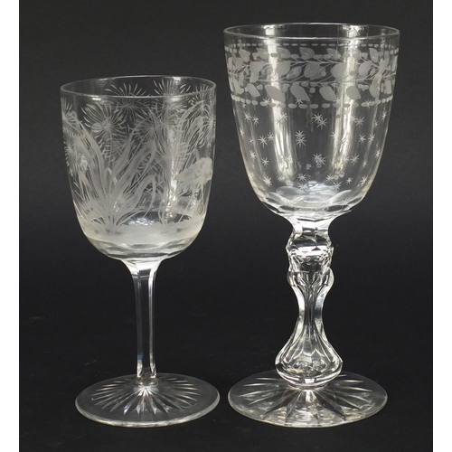 558 - Six 19th century antique wine glasses including one finely engraved with exotic birds and trees and ... 