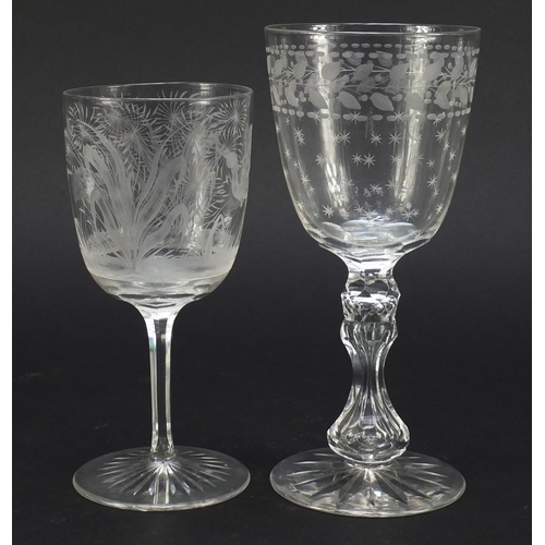 558 - Six 19th century antique wine glasses including one finely engraved with exotic birds and trees and ... 