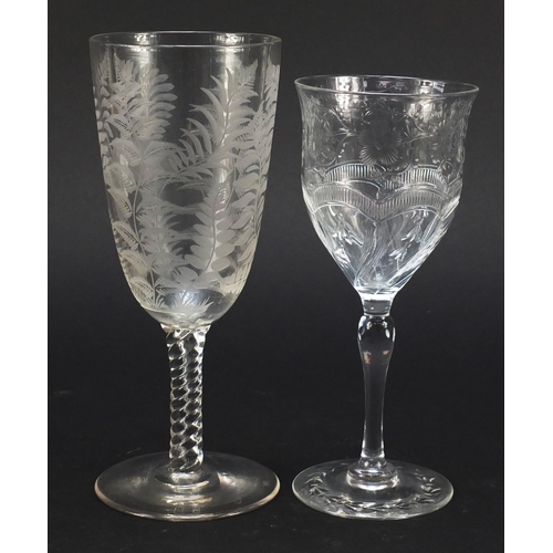 558 - Six 19th century antique wine glasses including one finely engraved with exotic birds and trees and ... 