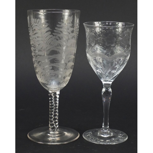 558 - Six 19th century antique wine glasses including one finely engraved with exotic birds and trees and ... 