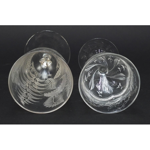 558 - Six 19th century antique wine glasses including one finely engraved with exotic birds and trees and ... 