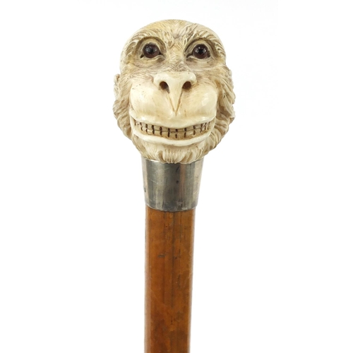 34 - Good Victorian Malacca walking stick with carved ivory pommel in the form of a monkey's head, having... 