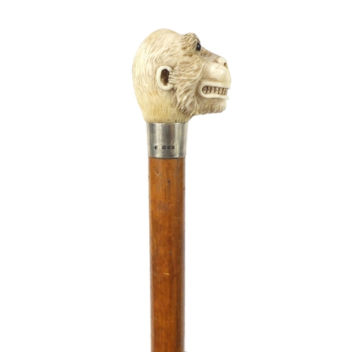 34 - Good Victorian Malacca walking stick with carved ivory pommel in the form of a monkey's head, having... 