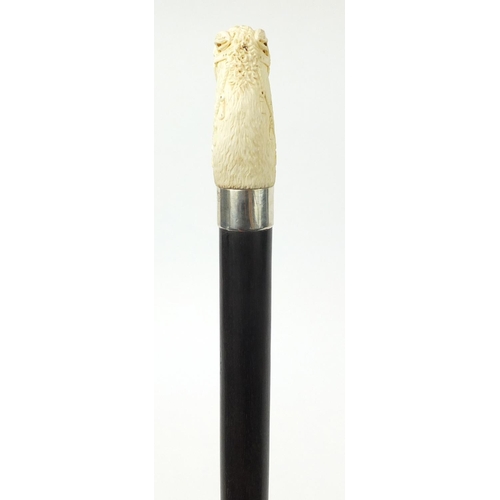 171 - Good rosewood wood walking stick with carved ivory pommel in the form of a horse's head, having an u... 