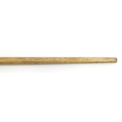 104 - Antique Scrimshaw carved whalebone walking stick with bird head design handle, 93cm in length