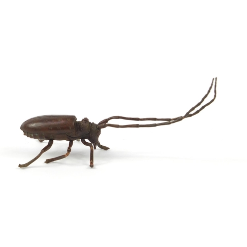 500 - Japanese patinated bronze locust with articulated antennae, wings and legs, 12cm in length