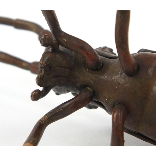 500 - Japanese patinated bronze locust with articulated antennae, wings and legs, 12cm in length