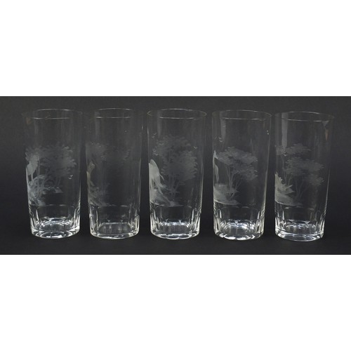 755 - Five drinking glasses etched with big game by Rowland Ward, each 14cm high