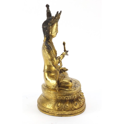 408 - Chino-Tibetan gilt bronze figure of Buddha, 32.5cm high