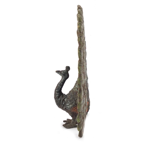 336 - Cold painted bronze of a peacock in the style of Franz Xaver Bergmann, 8cm high