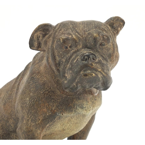 195 - Cold painted bronze seated dog in the style of Franz Xaver Bergmann, 12.5cm high