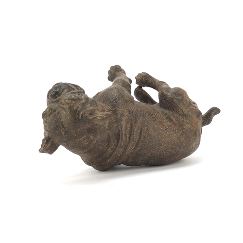 195 - Cold painted bronze seated dog in the style of Franz Xaver Bergmann, 12.5cm high