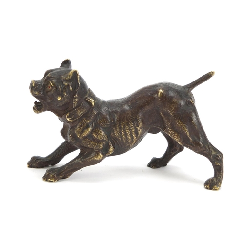 494 - Patinated bronze Bullmastiff, 11cm in length